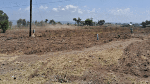 Dusty landscape with a power pole and distant mountains.