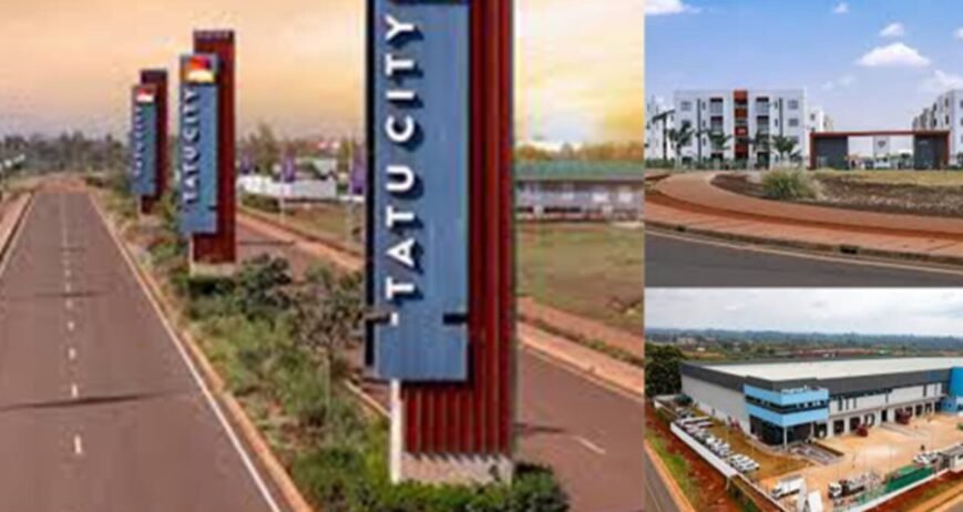 Tatu City Landscape Roadview of Tatu City with signage and buildings.