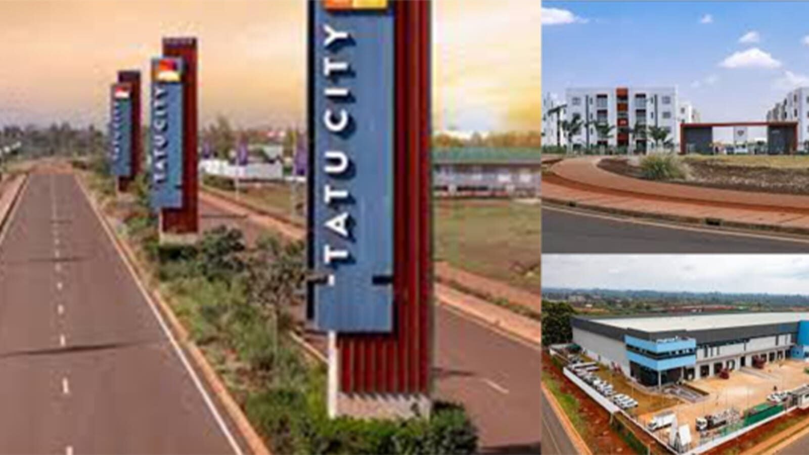 Roadview of Tatu City with signage and buildings.