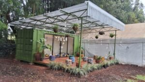 A vibrant outdoor space made from a green shipping container.