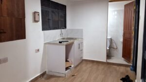 Compact kitchen with a bathroom in the background.